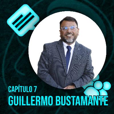 Usos y Gratificaciones - Guillermo Bustamante