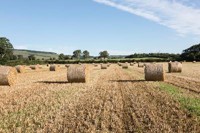 Farmers face demographic crisis