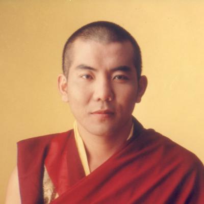 Lze dosáhnout štěstí a zbavit se utrpení, nebo je to předem prohraná bitva? - 3. Jamgon Kongtrul Lze dosáhnout štěstí a zbavit se utrpení, nebo je to předem prohraná bitva? - 3. Jamgon Kongtrul