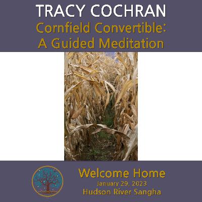 Cornfield Convertible: A Guided Meditation