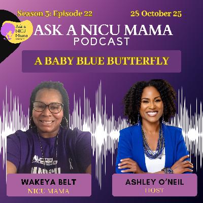 A Baby Blue Butterfly with Wakeya