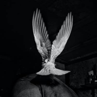 الأحكام الثلاثة 2/3 : زعما جاتشي