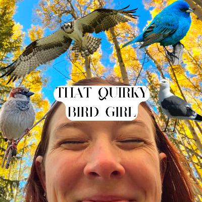 SHORT: come chirpchasing with steph in nashville, tn!