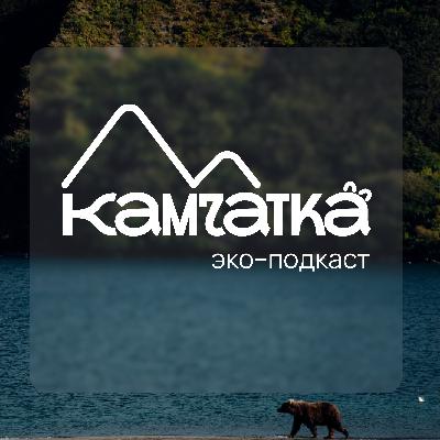 Ответственные путешествия