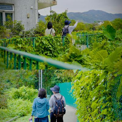 陪你来杯威士忌酸——随心港(讲)年末放送|往日对谈之不过期的闲聊 陪你来杯威士忌酸——随心港(讲)年末放送|往日对谈之不过期的闲聊