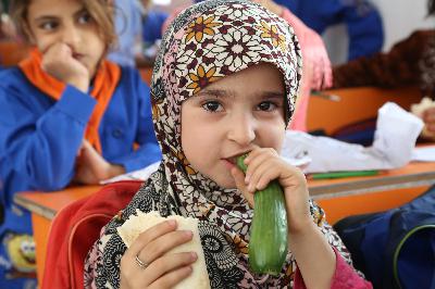 WHO urges healthier school food to shape lifelong eating habits