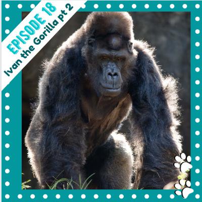 Ep 18- Ivan the Gorilla Part 2