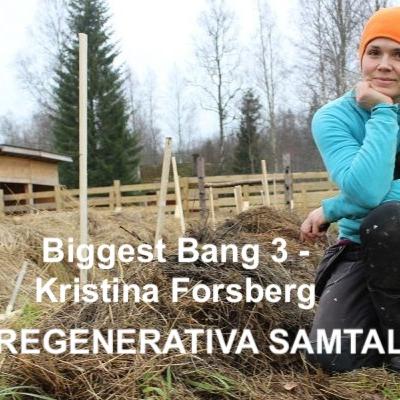 Biggest Bang 3 - Kristina Forsberg