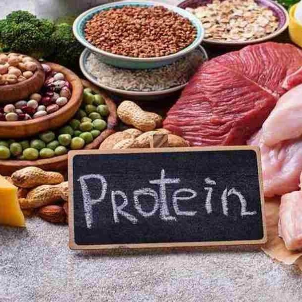5 Lợi Ích Của Protein Đối Với Sức Khỏe