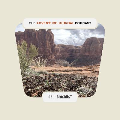 Kristina Young on the Incredible, Living Biocrust | AJ Podcast 031 Kristina Young on the Incredible, Living Biocrust | AJ Podcast 031