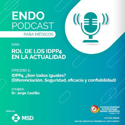 Serie 19 - Episodio 2 / IDPP4, ¿Son todos iguales? (Diferenciación, Seguridad, eficacia y confiabilidad)