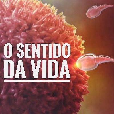 O Sentido Da Vida O Sentido Da Vida