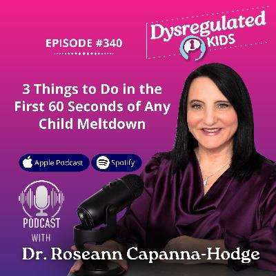 340: 3 Things to Do in the First 60 Seconds of Any Child Meltdown