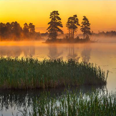 Crane Lake at Dawn