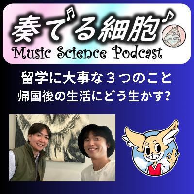 3‐49.留学で大事な３つのこと　帰国後の生活で大事なこと　学生さんの本音を教えてもらいました
