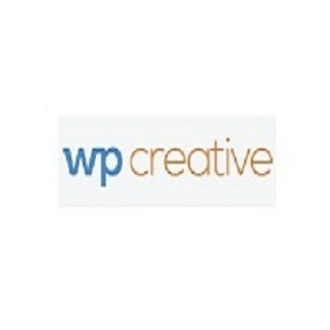 Hire the professional and skilled wordpress developer