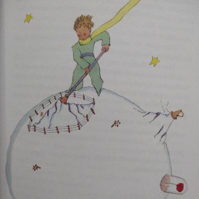 Trecho do livro O PEQUENO PRÍNCIPE autor: Antoine De Saint Exupéry.