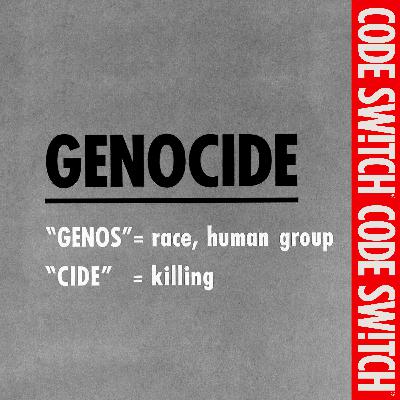 The stakes of calling Israel's actions in Gaza a genocide