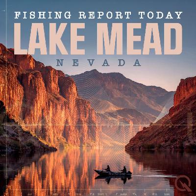 Winter Woes: Chasing Finicky Bass and Stripers on Lake Mead Winter Woes: Chasing Finicky Bass and Stripers on Lake Mead