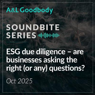 ESG research report series | Part 4 – ESG due diligence – are businesses asking the right (or any) questions?