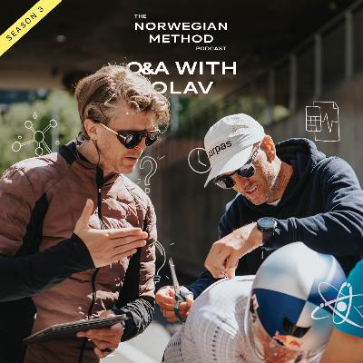Olav - Q&A