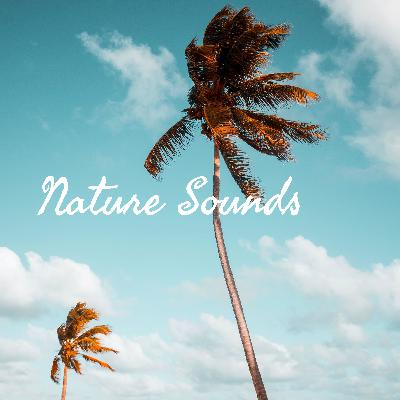 Florida Frogs - Nature Sounds