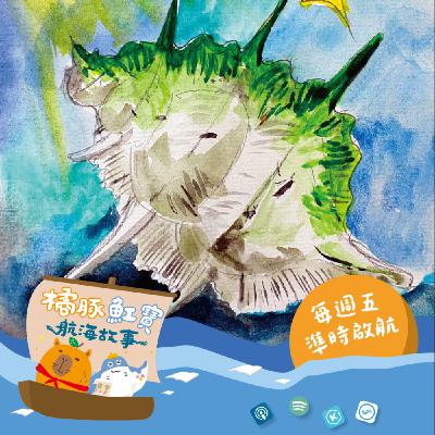 EP.1貝殼島與消失的貝玉白菜(上集) EP.1貝殼島與消失的貝玉白菜(上集)