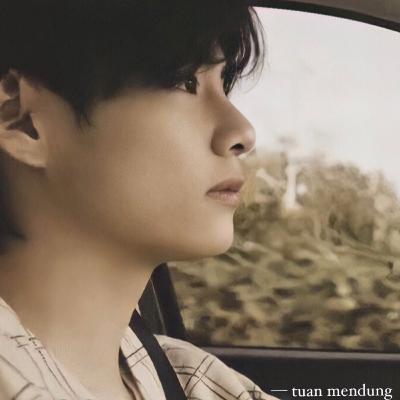 pengagum langit kelabu