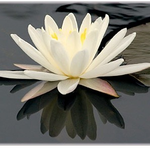 Crooked River Zen Center