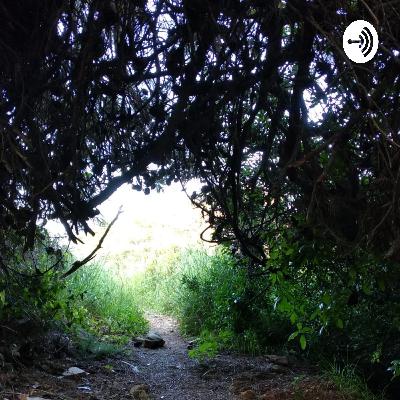 שיעור בתוך סידרה על פאראמי בנושא אמת