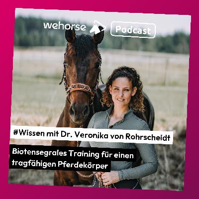 #Wissen mit Dr. Veronika von Rohrscheidt: Biotensegrales Training einfach erklärt