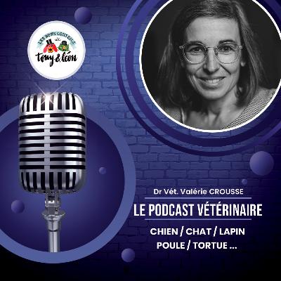 Ovariectomie sous coelioscopie