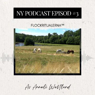 Episod #3 Flockritualerna™