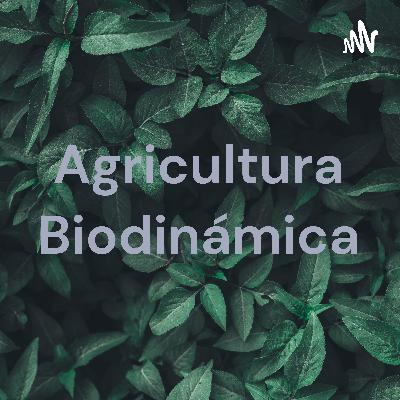 Gastronomía biodinámica