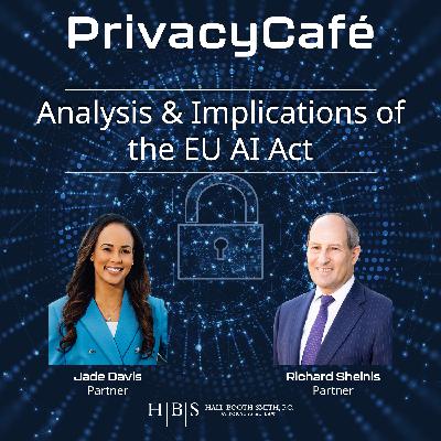 Analysis and Implications of the EU AI Act