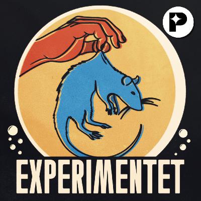 Trailer: Experimenten som förbluffar – premiär 16 april