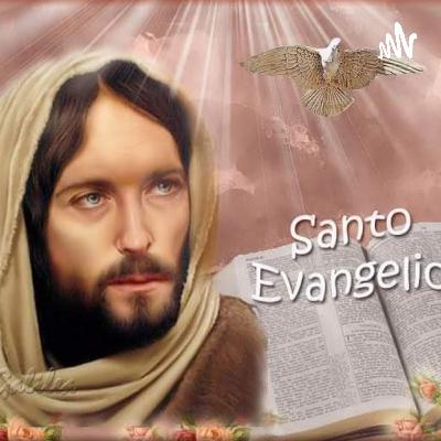 Sàbado 26 de Junio 2021. Evangelio Segùn San Mateo 8,5-17