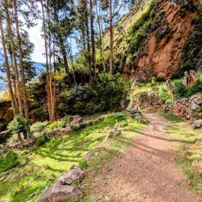 Machu Picchu Jungle & River - 10 Hours Sleep Sound