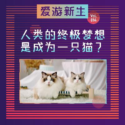 人类的终极梦想——成为一只猫？| Vol.014