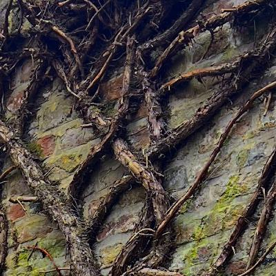 Sigma Lib – Behind The Wall