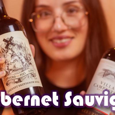 Descubra o mundo do vinho Cabernet Sauvignon 🍇🍷 #CabernetSauvignon Descubra o mundo do vinho Cabernet Sauvignon 🍇🍷 #CabernetSauvignon