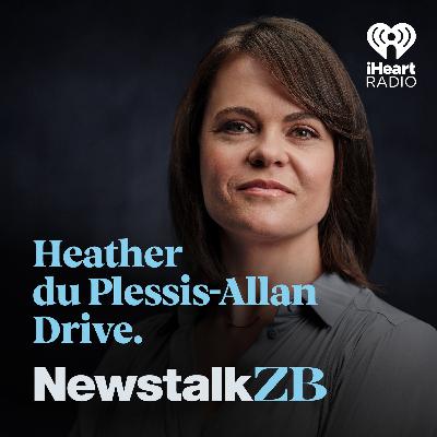 Jenee Tibshraeny: NZ Herald Wellington business editor on the Government's planned review into insurance premiums