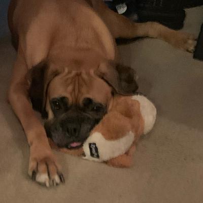 Coping with Pet Loss Coping with Pet Loss