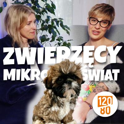 Zwierzęcy mikroświat