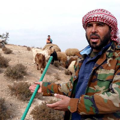 Syria drought worsens: Farmers and shepherds struggle as crops fail and dams run dry