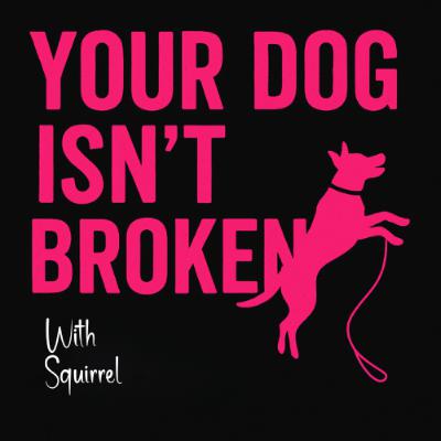 🎙 Episode 10: Your Dog Didn’t Escape to Spite You — You Just Left the Gate Open (Again)