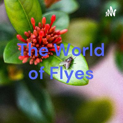 The World of flyes