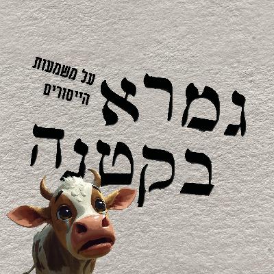 על משמעות הייסורים