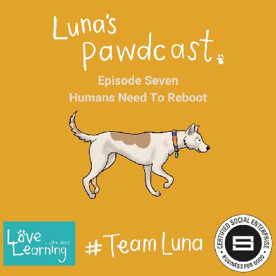 Human's Need To Reboot