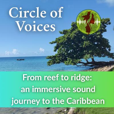 From reef to ridge: an immersive sound journey to the Caribbean